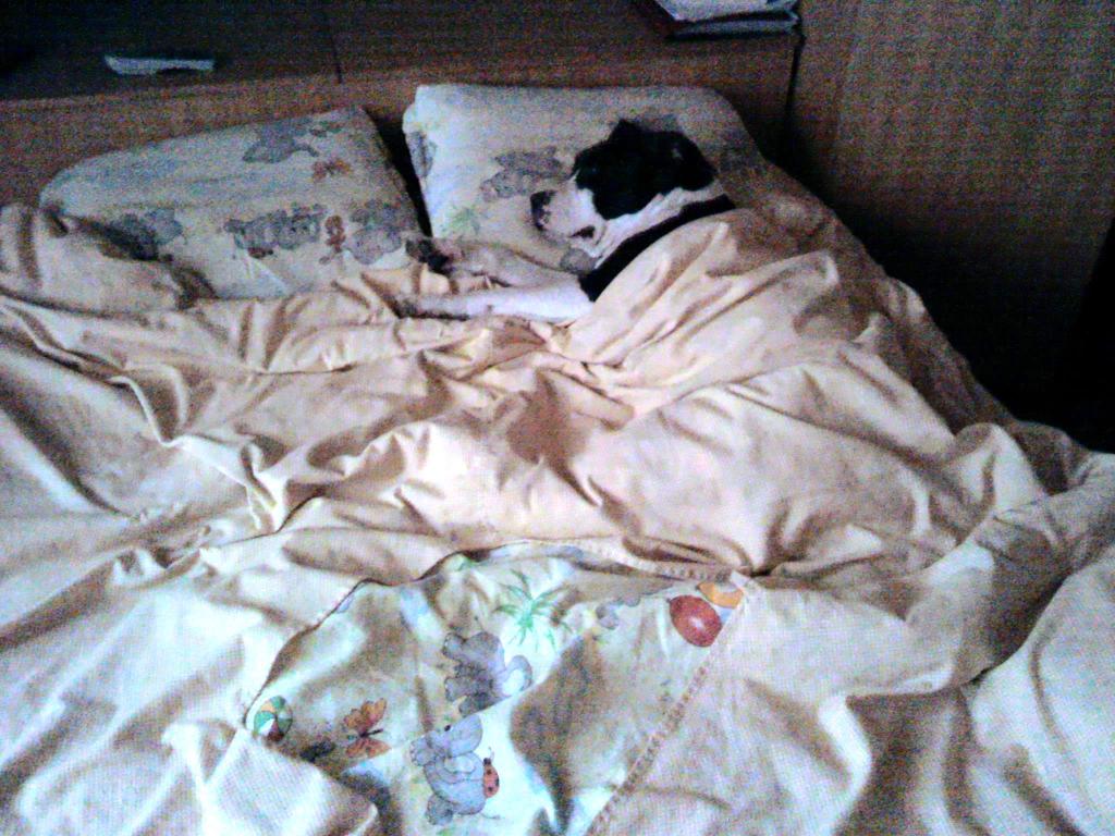 2011-06-28 16.10.03.jpg