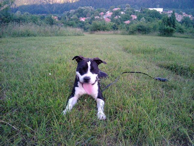 2011-07-07 20.27.31.jpg