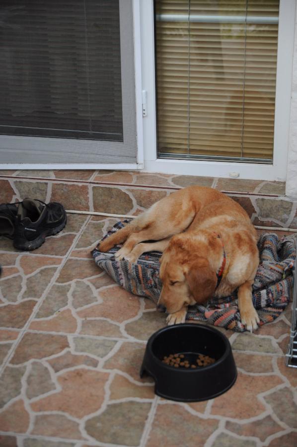 _DSC0244.JPG