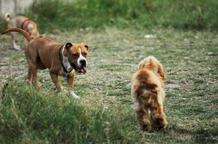 _DSC0129.jpg