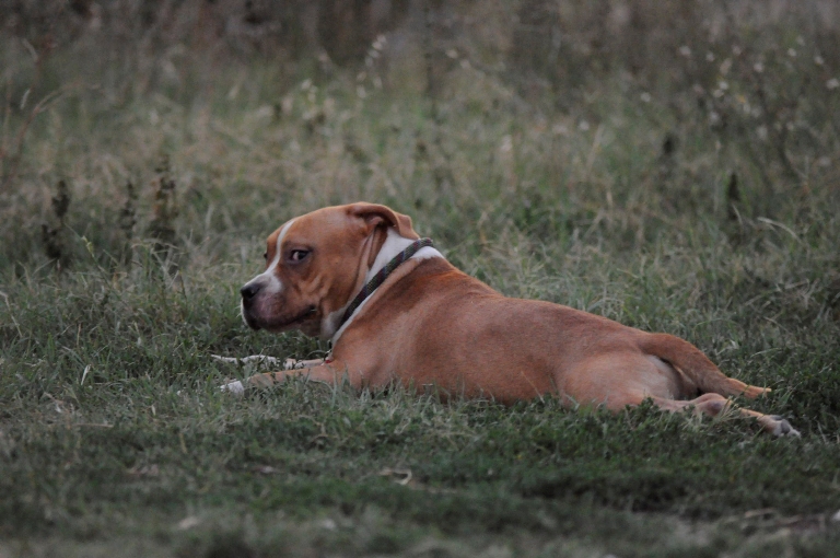 _DSC0206.jpg